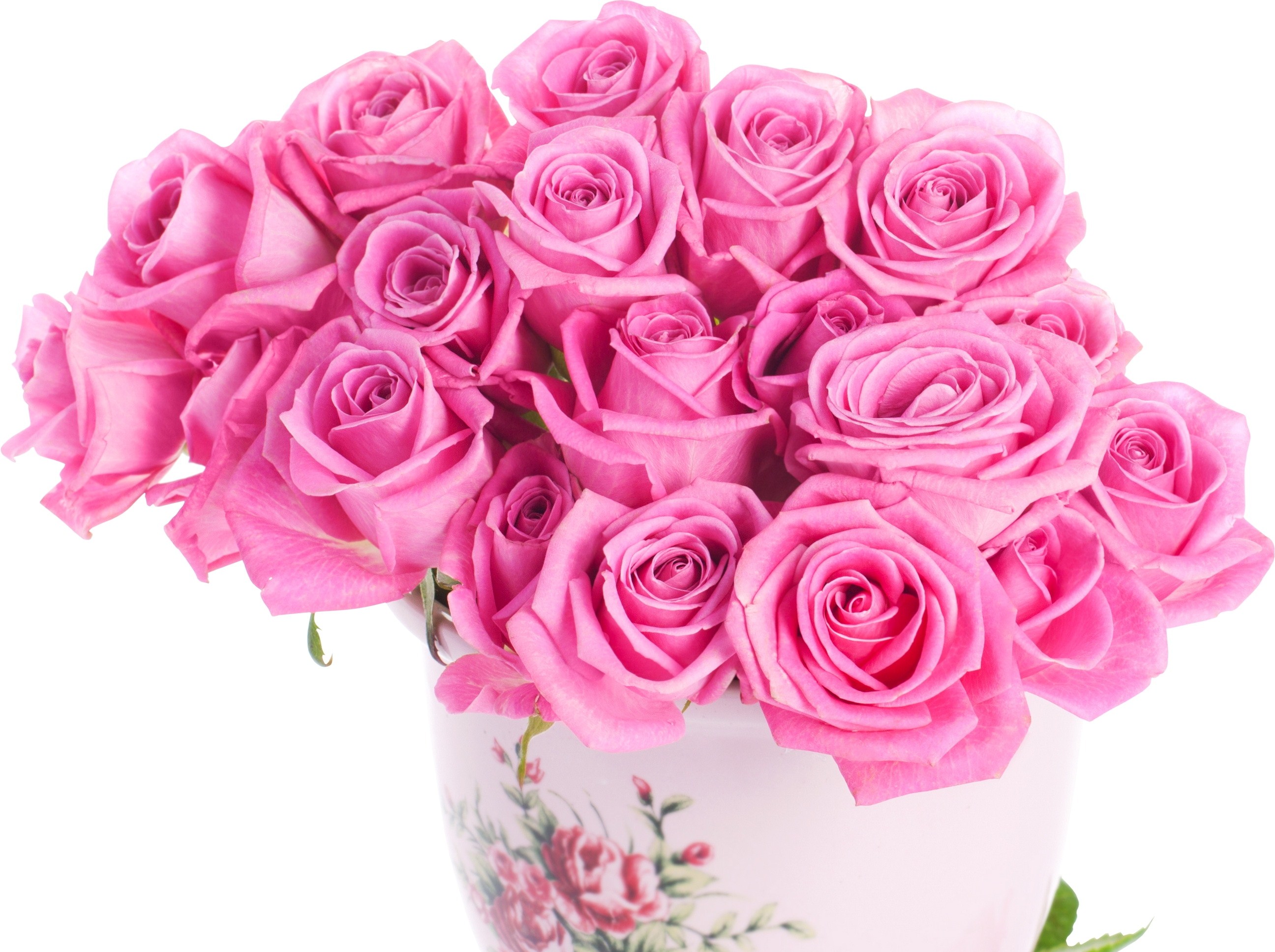 110 Best rose wallpaper ideas | rose, beautiful roses, beautiful flowers