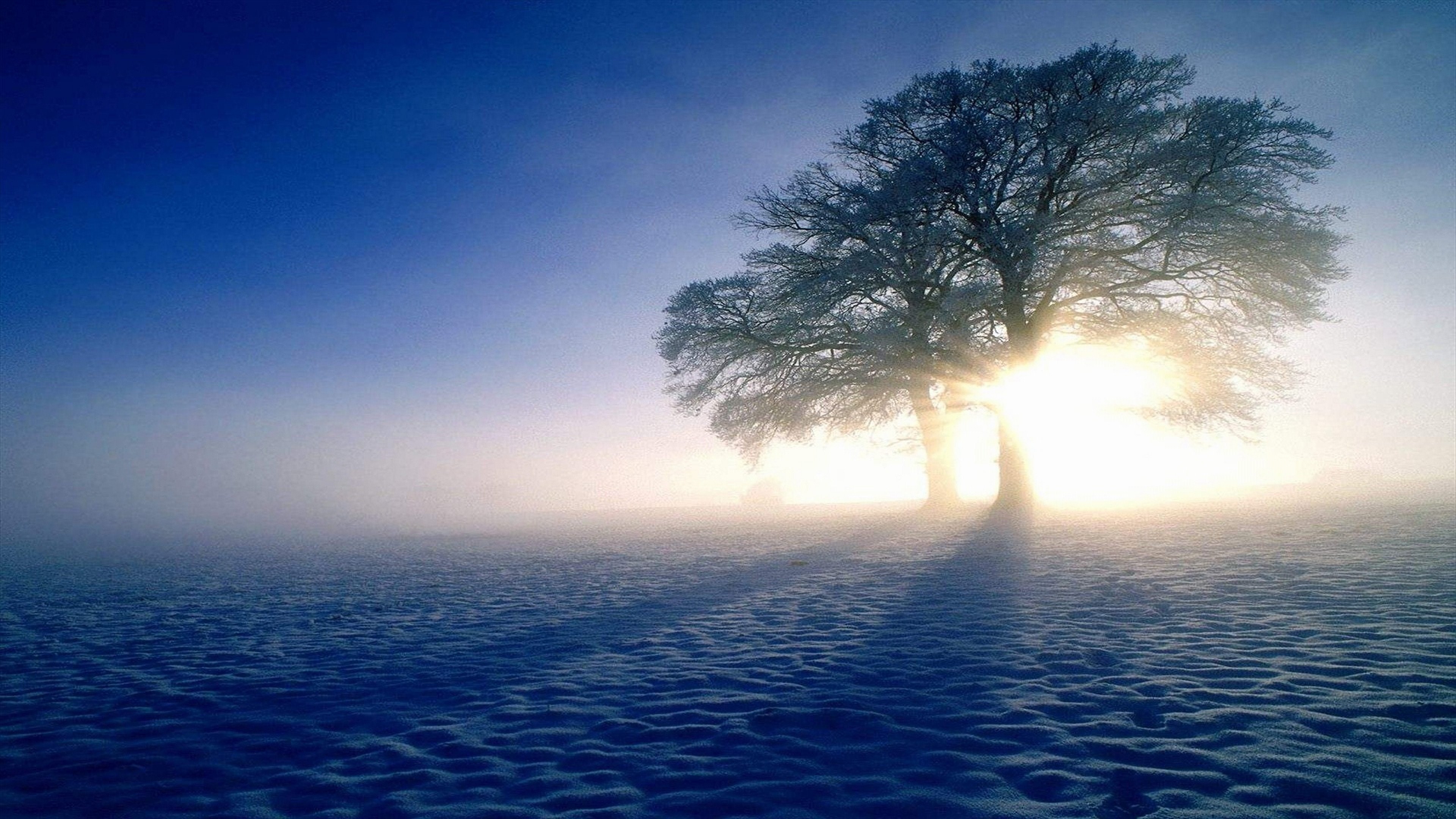 hold igen Prestigefyldte Plandscapes Nature Winter Snow Sun 4K Ultra HD Wallpaper [3840x2160]