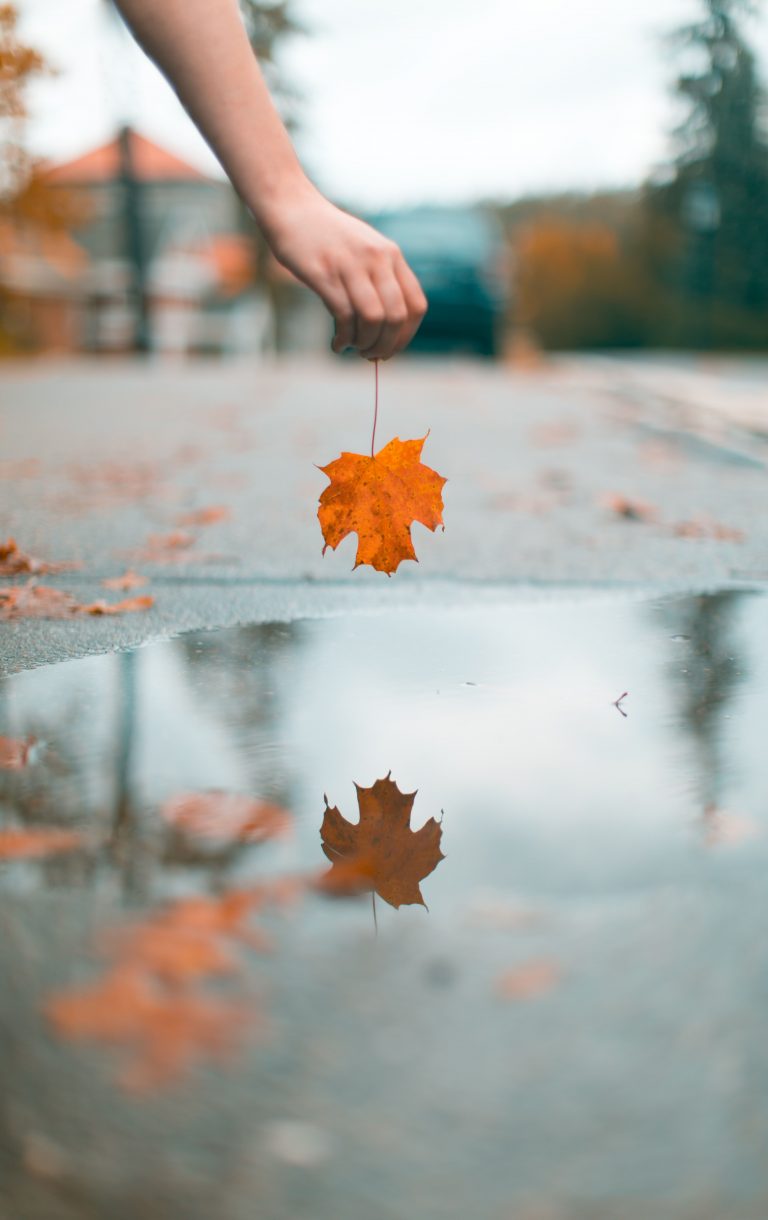 Fall Phone Wallpaper - 033
