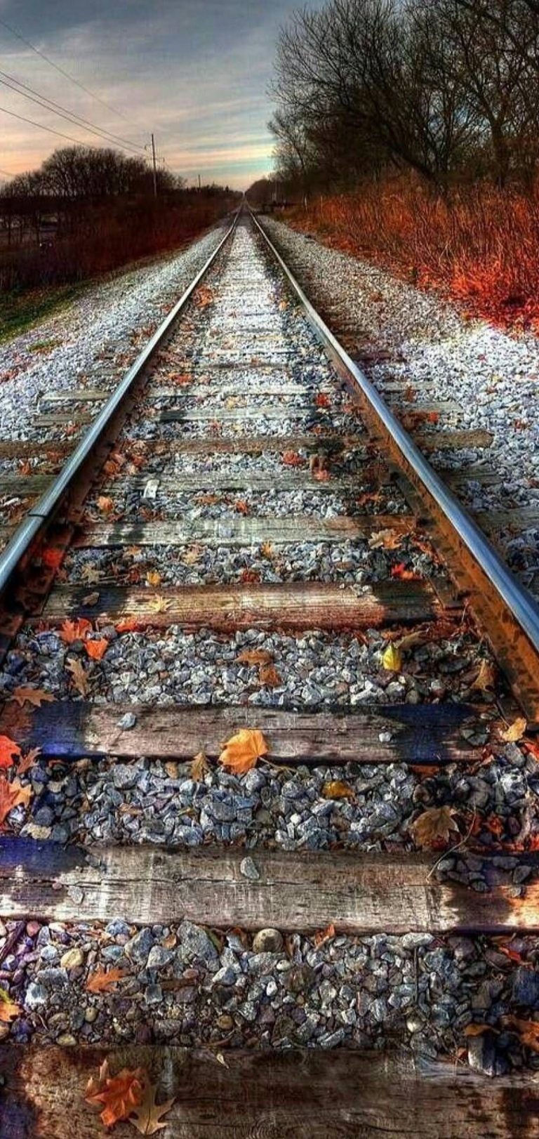 Fall Phone Wallpaper - 040
