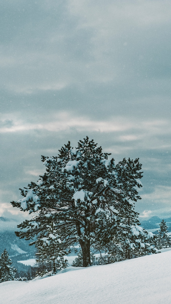 Minimal snowy Winter wallpaper pack for iPhone