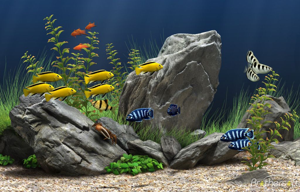 free virtual aquarium desktop