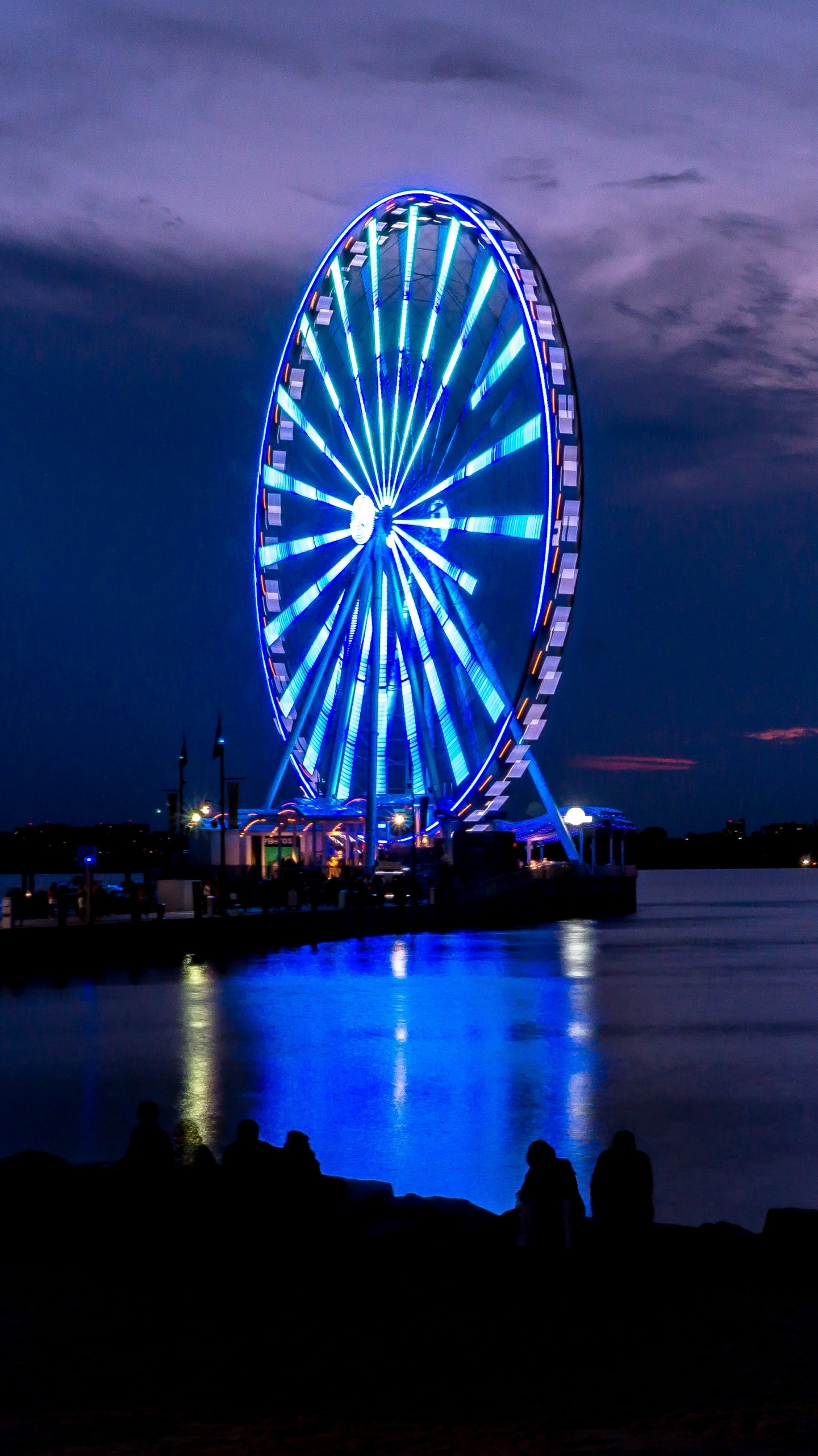 Ferris Wheel Night Shore Wallpaper  1440x2560
