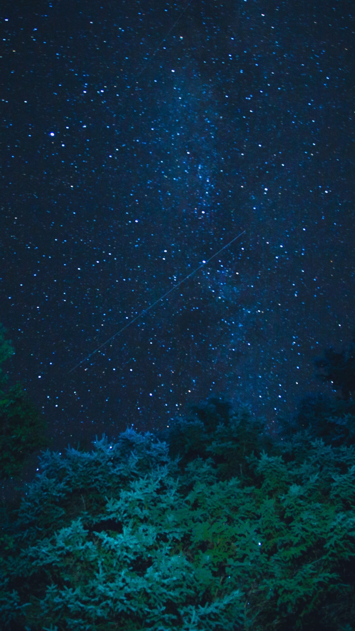 Images Of Night Sky Stars Trees Infoupdate Org
