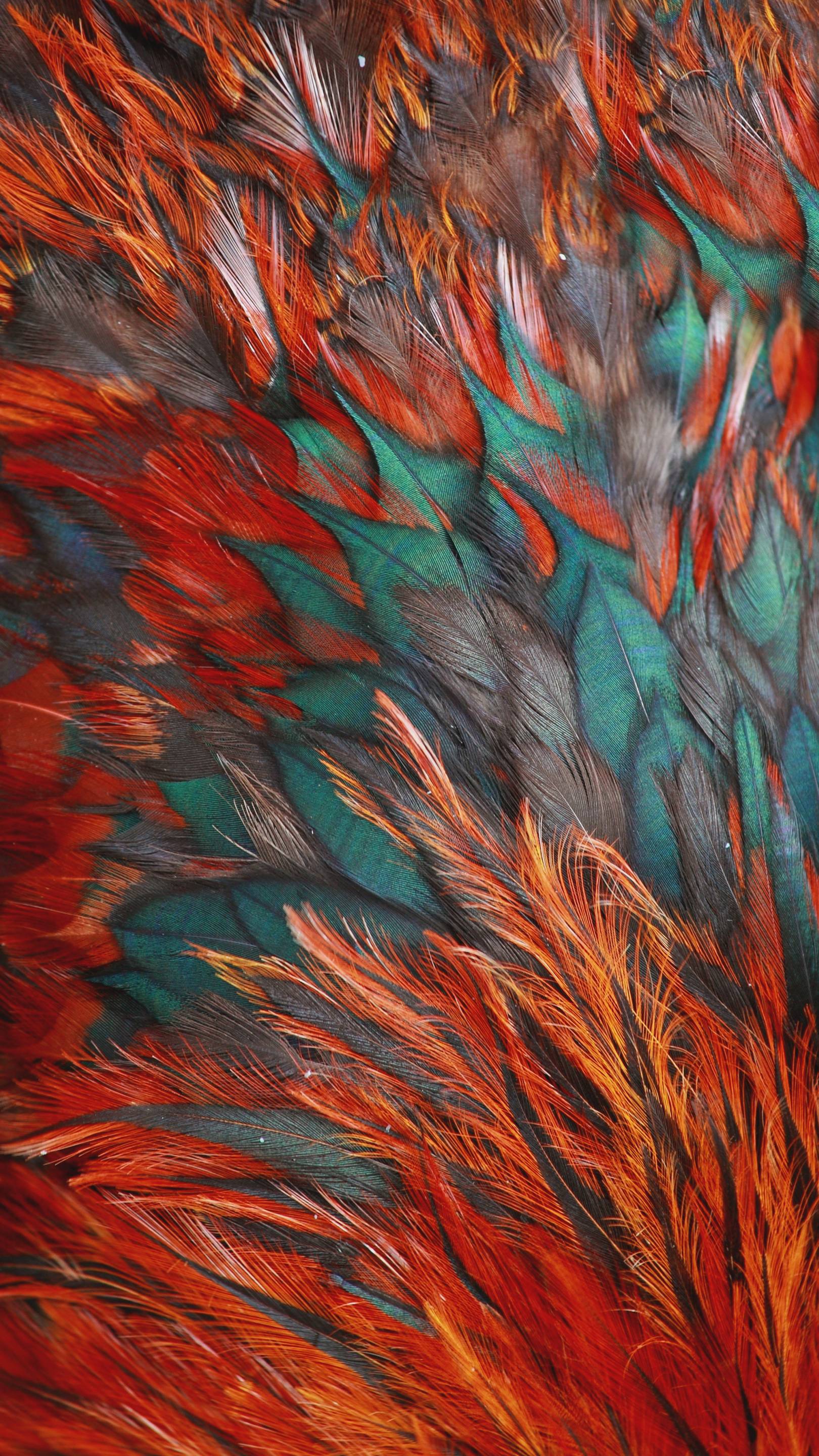 Wings Abstract Wallpaper 16x