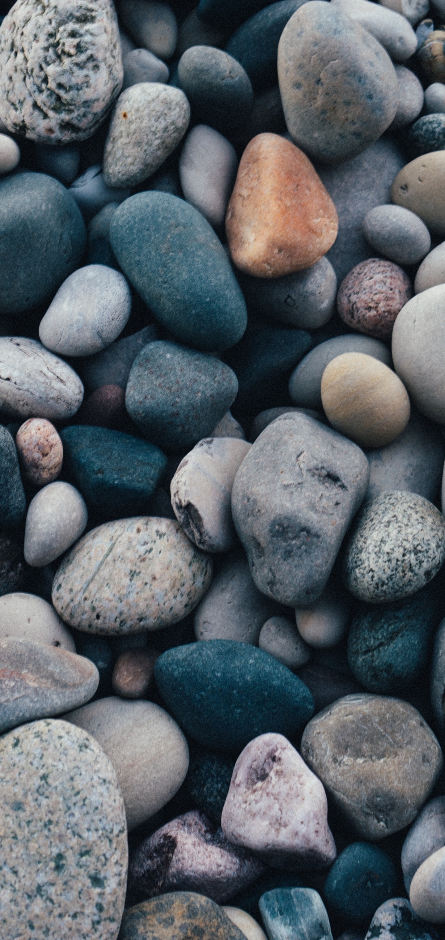 Pebbles Photos Download The BEST Free Pebbles Stock Photos  HD Images