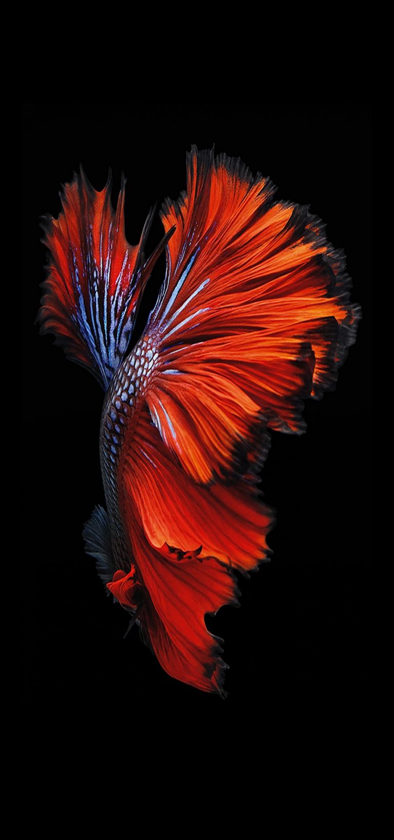 1080x2300 Phone Wallpaper - 360