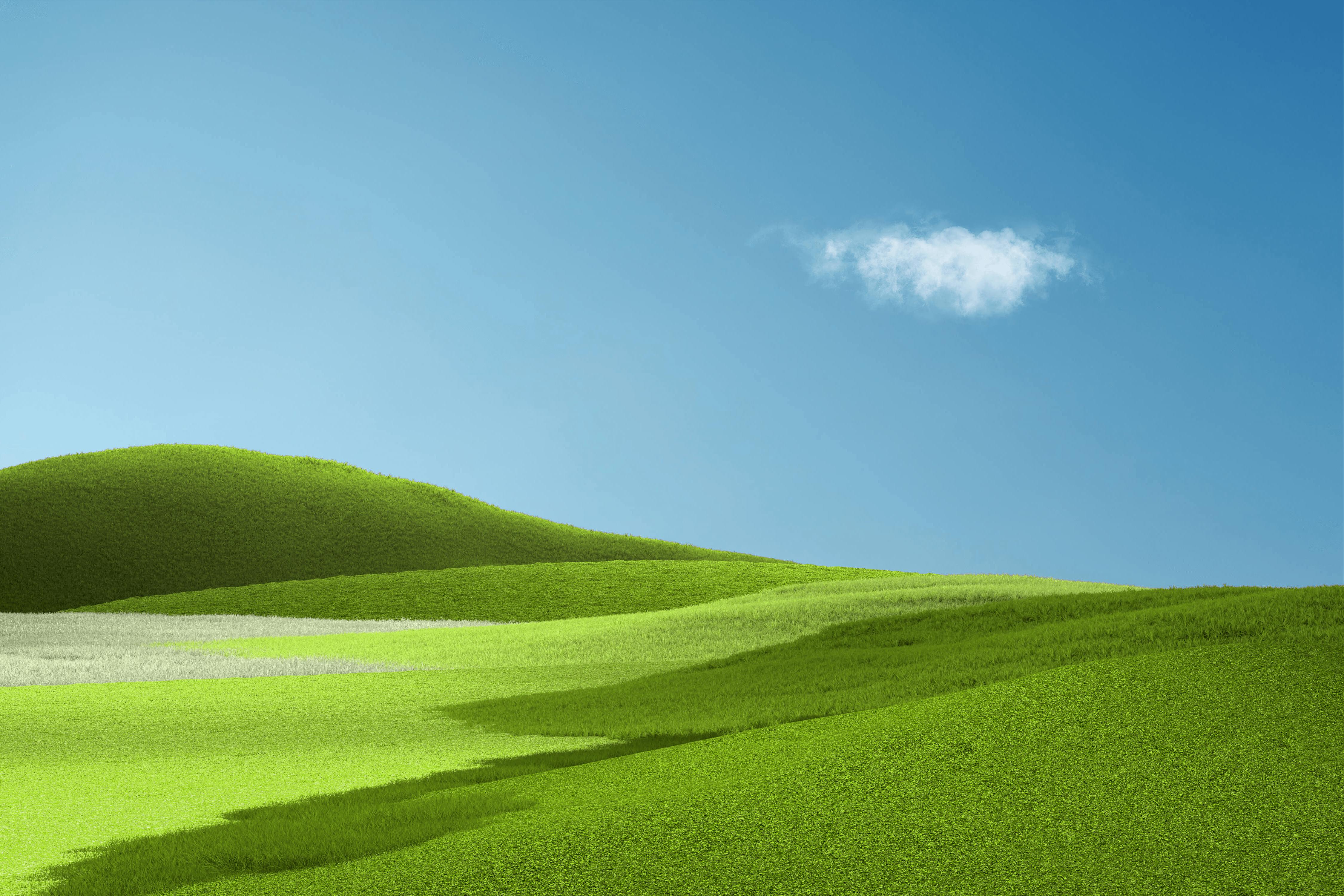 Яркий холм. «Зеленые холмы». Обои XP. Стандартные обои. Виндовс.