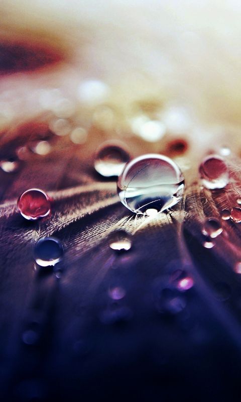 Water Live Wallpaper APK for Android Download