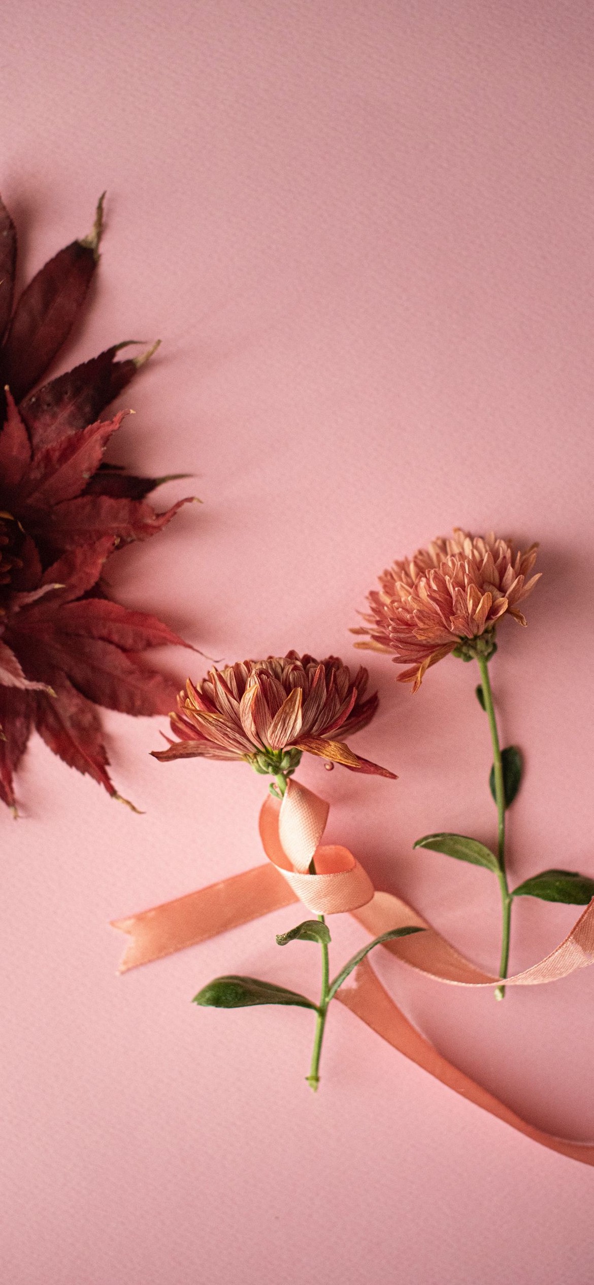 flower wallpaper for iphone